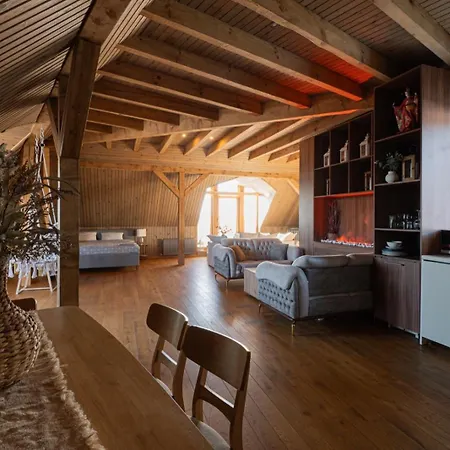 Apartmán Rooftop River View Old